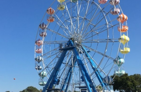 Ferris Wheel 25 