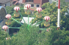 Ferris Wheel 12