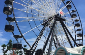 Ferris Wheel 30