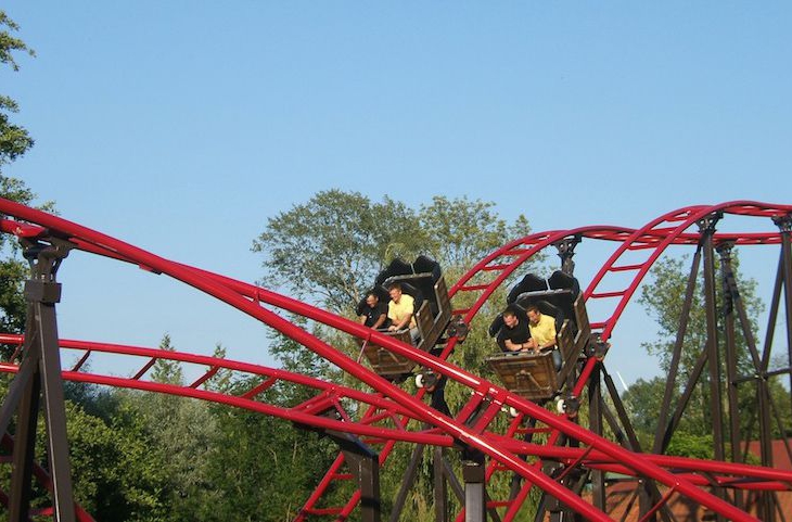 Duelling Coaster 65×26